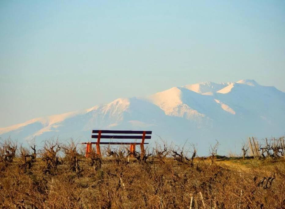 La Maison Des Vendangeurs Canet-en-Roussillon Zewnętrze zdjęcie